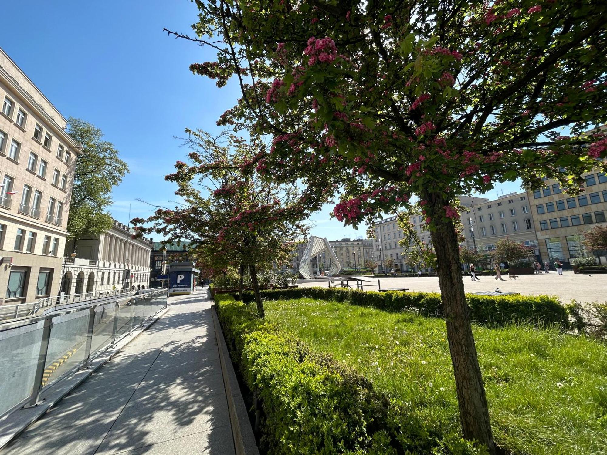 Apartamenty Pl. Wolnosci 6 Poznań Buitenkant foto
